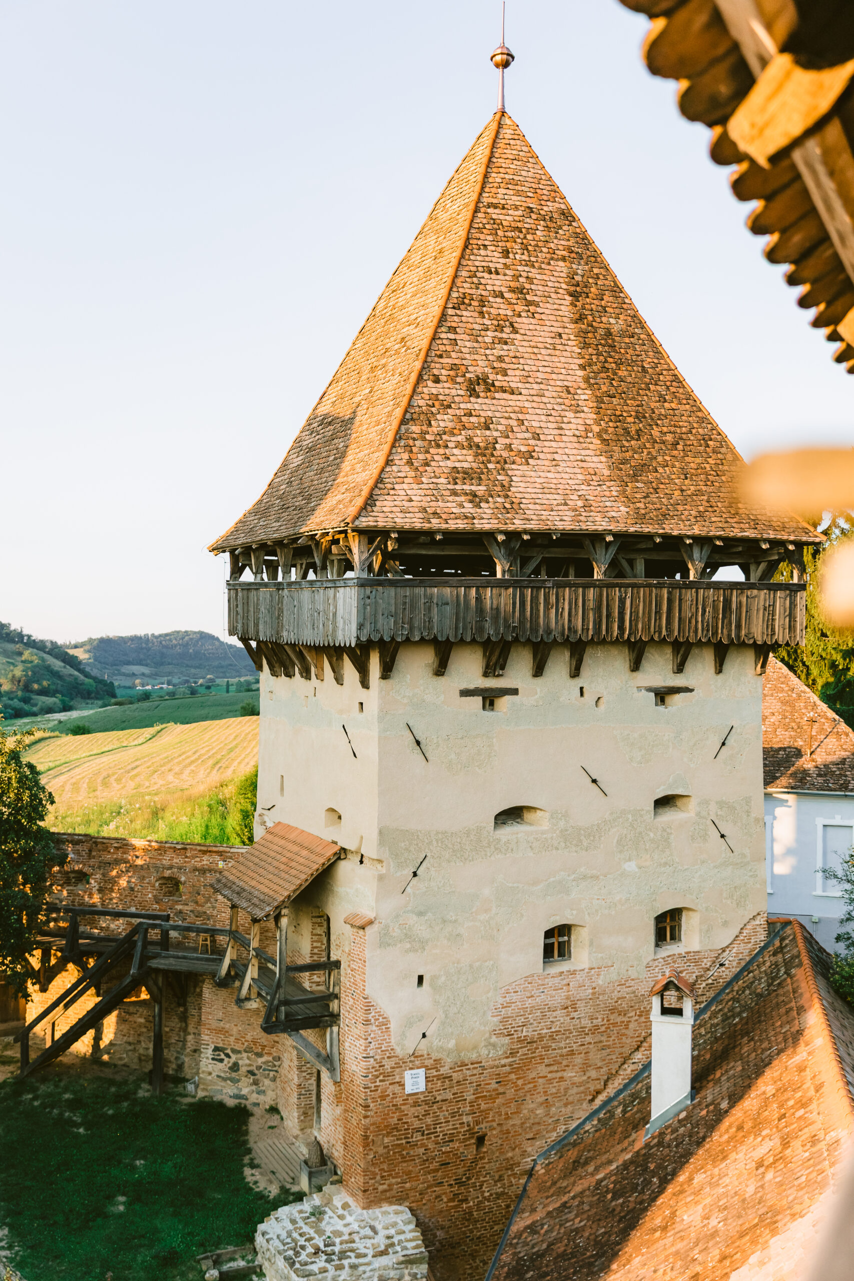 Cina Alma Vii 0101 Scaled