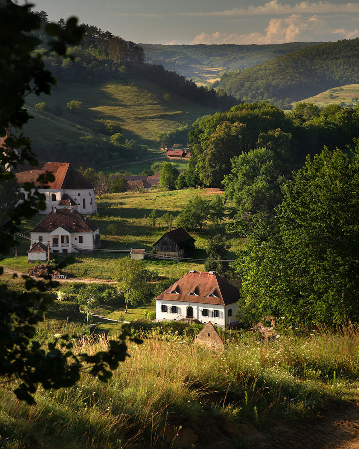 Bethlen Estates in Criș, Transylvania