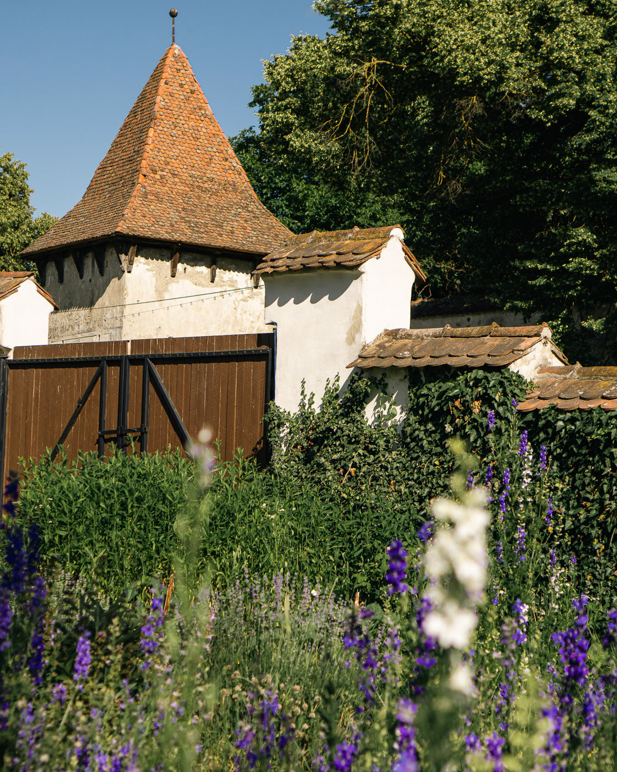 Cincșor fortified church surrounded by gardens