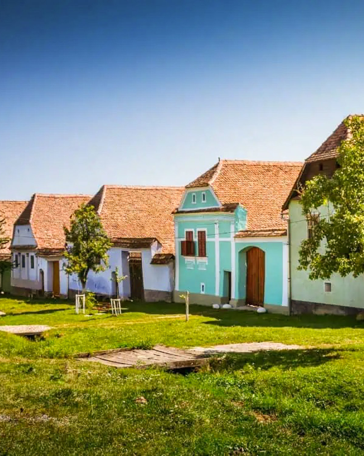 Colourful traditional Saxon houses in Viscri