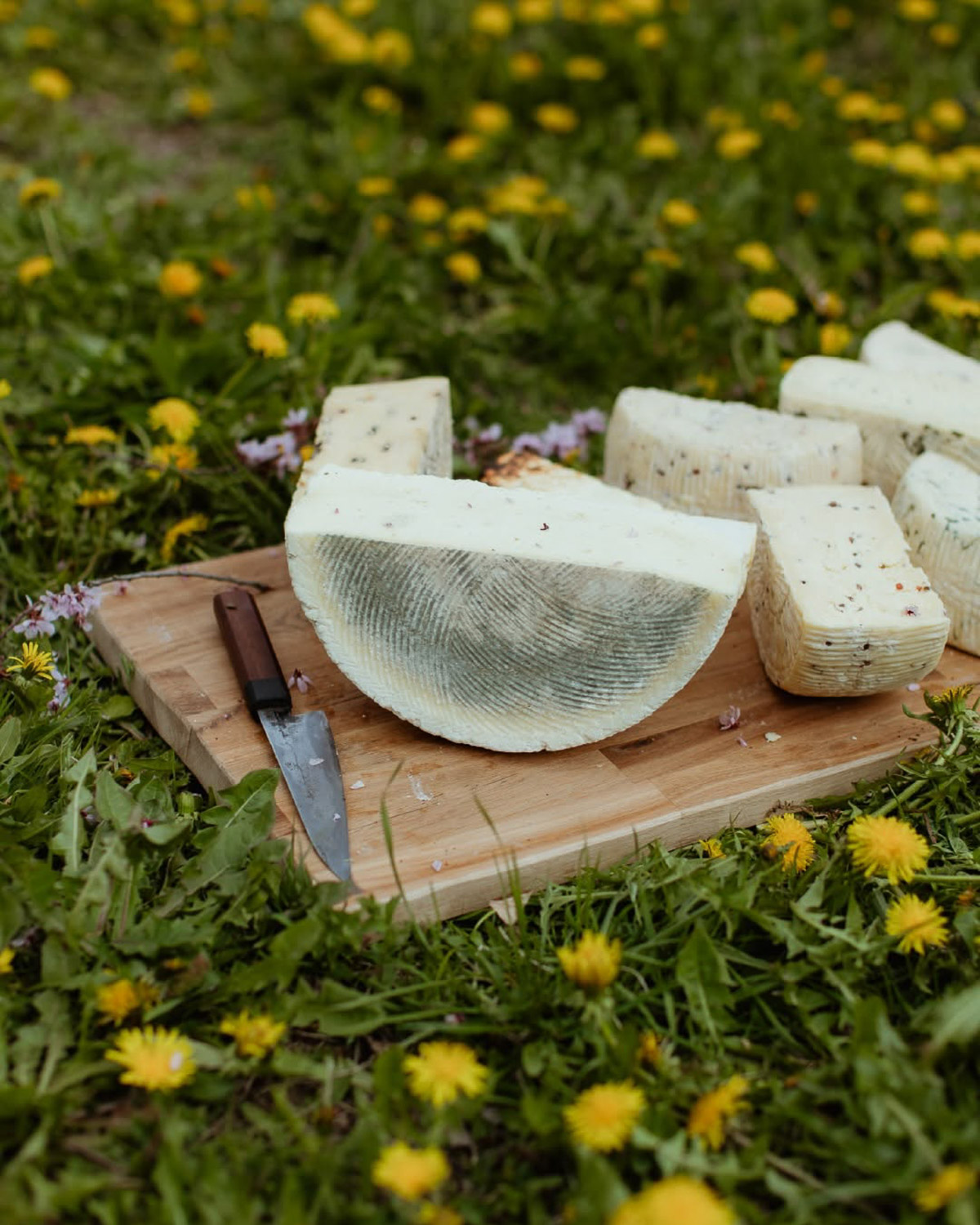 Selection of local cheeses in Transylvania