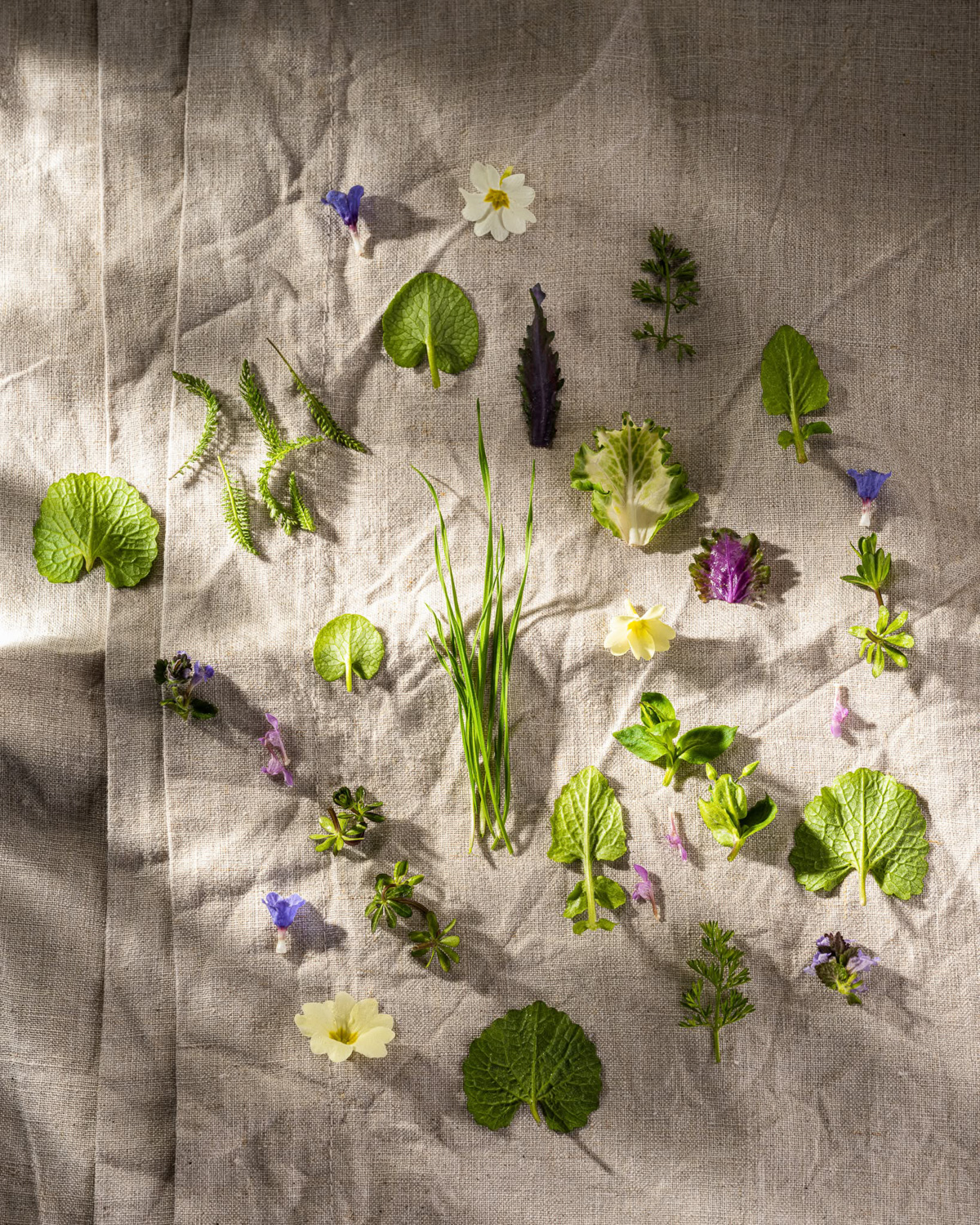 Wild herbs and flowers used in local cooking