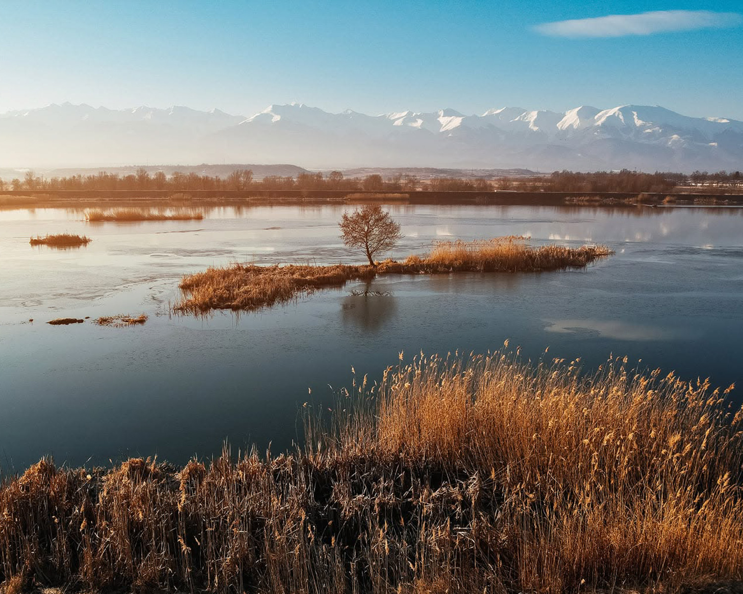 Wetland landscape in Transylvania