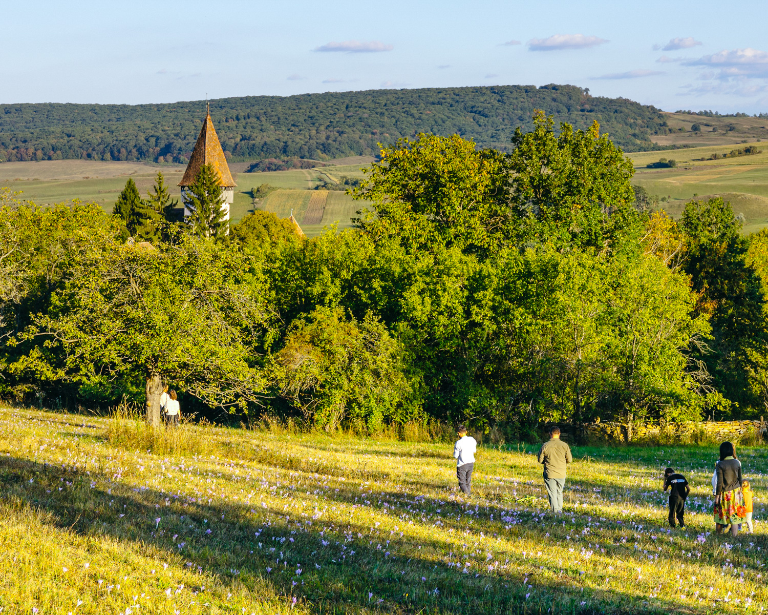 Fortified church surrounded by the Transylvanian countryside